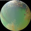 ./images/calvert/underwater/20260806/underwater20260806_181001M.jpg