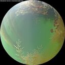 ./images/calvert/underwater/20260806/underwater20260806_181501M.jpg