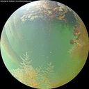 ./images/calvert/underwater/20260806/underwater20260806_183001M.jpg