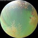 ./images/calvert/underwater/20260806/underwater20260806_184002M.jpg