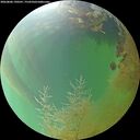 ./images/calvert/underwater/20260806/underwater20260806_190501M.jpg
