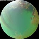 ./images/calvert/underwater/20260806/underwater20260806_194001M.jpg