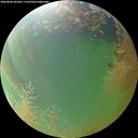 ./images/calvert/underwater/20260806/underwater20260806_201001M.jpg