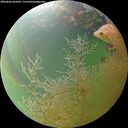 ./images/calvert/underwater/20260806/underwater20260806_202002M.jpg