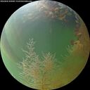 ./images/calvert/underwater/20260806/underwater20260806_204001M.jpg