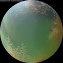 ./images/calvert/underwater/20260806/underwater20260806_204501M.jpg