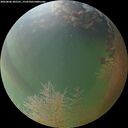 ./images/calvert/underwater/20260806/underwater20260806_205501M.jpg