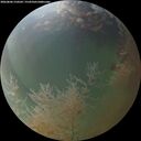 ./images/calvert/underwater/20260806/underwater20260806_210501M.jpg