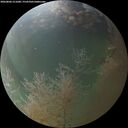 ./images/calvert/underwater/20260806/underwater20260806_211001M.jpg