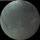 ./images/calvert/underwater/20260806/underwater20260806_213502M.jpg