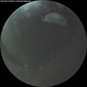 ./images/calvert/underwater/20260807/underwater20260807_053001M.jpg