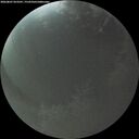 ./images/calvert/underwater/20260807/underwater20260807_053501M.jpg