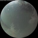 ./images/calvert/underwater/20260807/underwater20260807_054001M.jpg