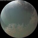 ./images/calvert/underwater/20260807/underwater20260807_054502M.jpg
