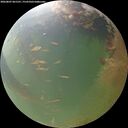 ./images/calvert/underwater/20260807/underwater20260807_061501M.jpg