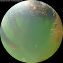 ./images/calvert/underwater/20260807/underwater20260807_064502M.jpg
