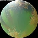 ./images/calvert/underwater/20260807/underwater20260807_065001M.jpg