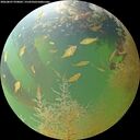 ./images/calvert/underwater/20260807/underwater20260807_070001M.jpg
