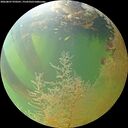 ./images/calvert/underwater/20260807/underwater20260807_070501M.jpg