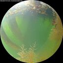 ./images/calvert/underwater/20260807/underwater20260807_071501M.jpg