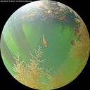 ./images/calvert/underwater/20260807/underwater20260807_072001M.jpg