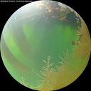 ./images/calvert/underwater/20260807/underwater20260807_073501M.jpg