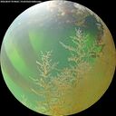 ./images/calvert/underwater/20260807/underwater20260807_074001M.jpg