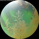 ./images/calvert/underwater/20260807/underwater20260807_074501M.jpg