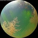 ./images/calvert/underwater/20260807/underwater20260807_082501M.jpg