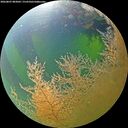 ./images/calvert/underwater/20260807/underwater20260807_083001M.jpg