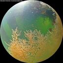 ./images/calvert/underwater/20260807/underwater20260807_083501M.jpg