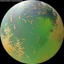./images/calvert/underwater/20260807/underwater20260807_084002M.jpg