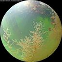 ./images/calvert/underwater/20260807/underwater20260807_090001M.jpg