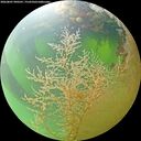 ./images/calvert/underwater/20260807/underwater20260807_090501M.jpg