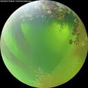 ./images/calvert/underwater/20260807/underwater20260807_094002M.jpg