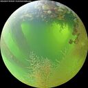 ./images/calvert/underwater/20260807/underwater20260807_094502M.jpg