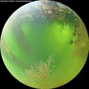 ./images/calvert/underwater/20260807/underwater20260807_095001M.jpg