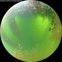 ./images/calvert/underwater/20260807/underwater20260807_100001M.jpg