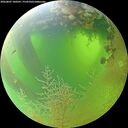 ./images/calvert/underwater/20260807/underwater20260807_100501M.jpg