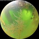 ./images/calvert/underwater/20260807/underwater20260807_101502M.jpg