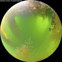 ./images/calvert/underwater/20260807/underwater20260807_102001M.jpg