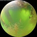 ./images/calvert/underwater/20260807/underwater20260807_102501M.jpg