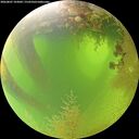 ./images/calvert/underwater/20260807/underwater20260807_103001M.jpg