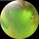 ./images/calvert/underwater/20260807/underwater20260807_104001M.jpg