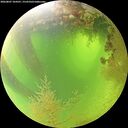 ./images/calvert/underwater/20260807/underwater20260807_104501M.jpg