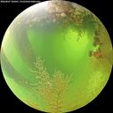 ./images/calvert/underwater/20260807/underwater20260807_105001M.jpg