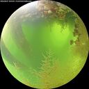 ./images/calvert/underwater/20260807/underwater20260807_105501M.jpg