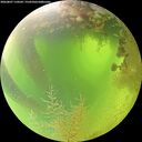./images/calvert/underwater/20260807/underwater20260807_110501M.jpg