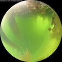 ./images/calvert/underwater/20260807/underwater20260807_111001M.jpg