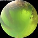 ./images/calvert/underwater/20260807/underwater20260807_111502M.jpg